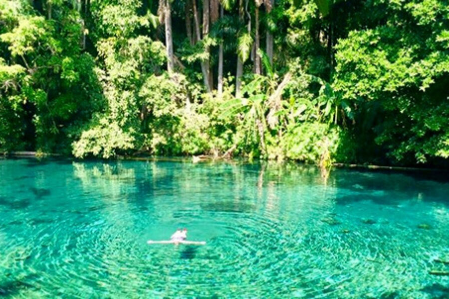 Las Estacas Parque Natural