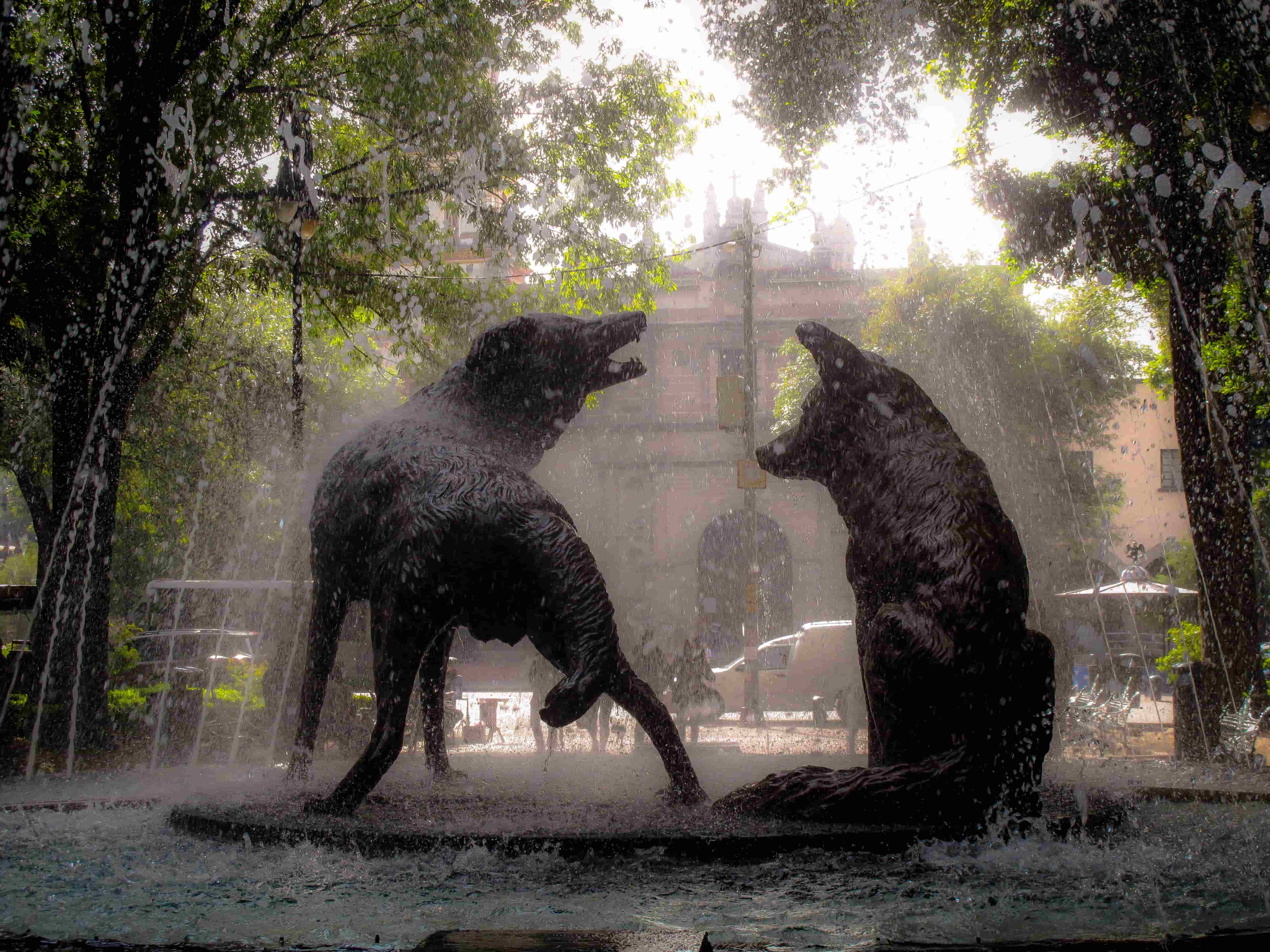 Fuente de los Coyotes en Coyoacan, Ciudad de México