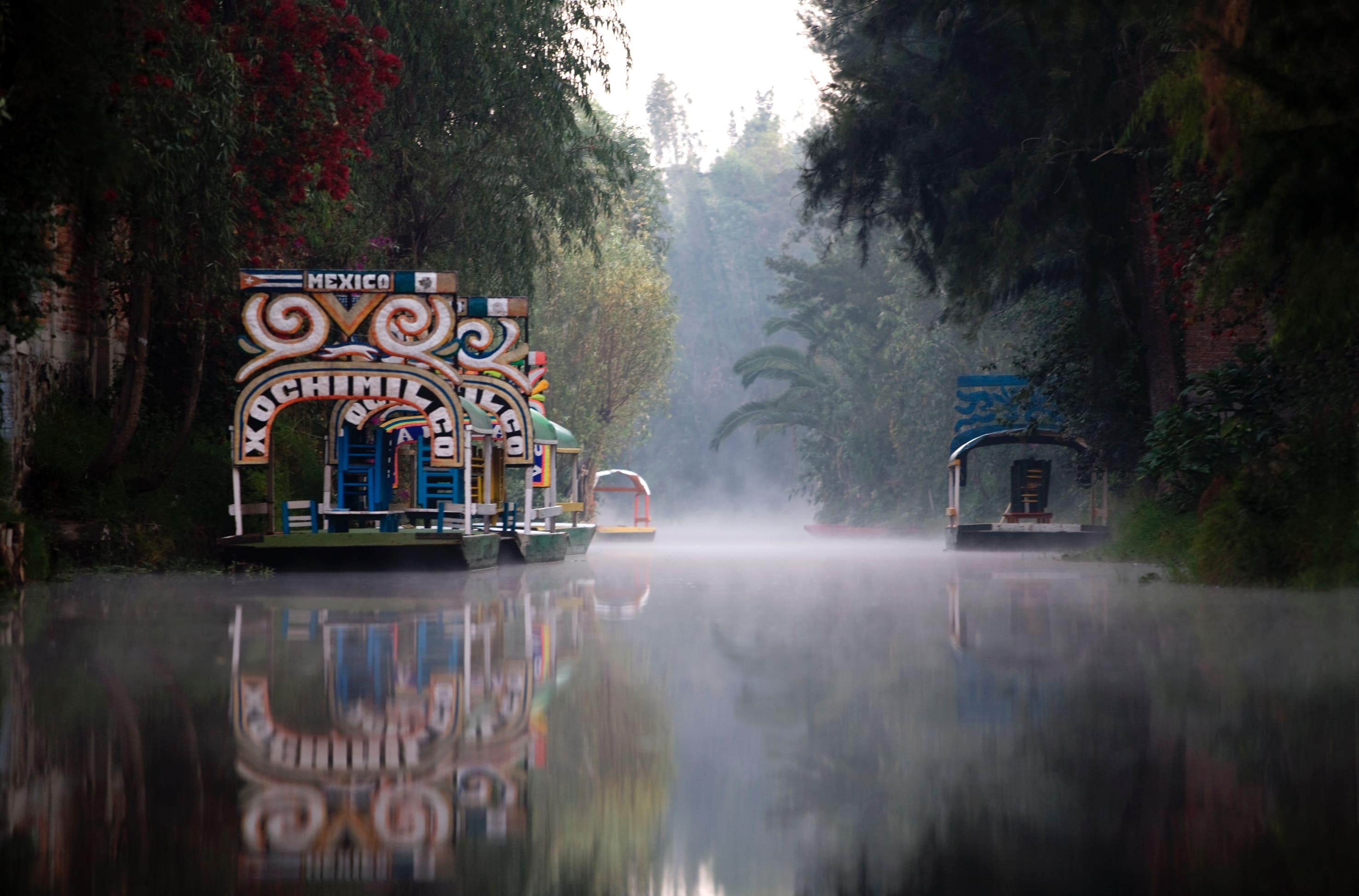 Xochimilco al Sur de la Ciudad de México, amanecer