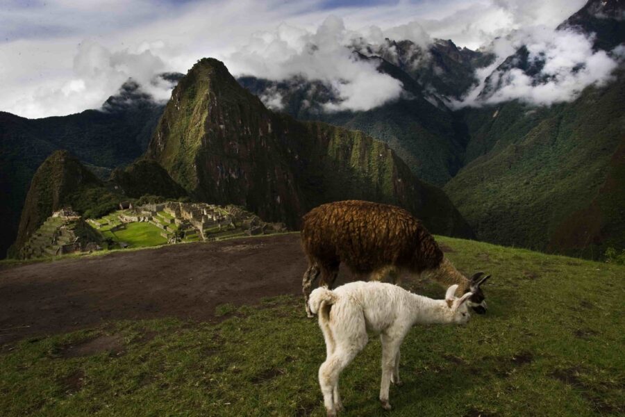 Perú único