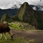 Perú único