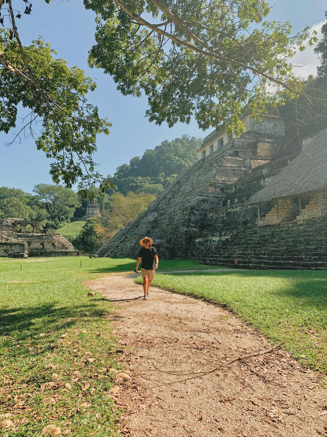 Palenque tour tren maya