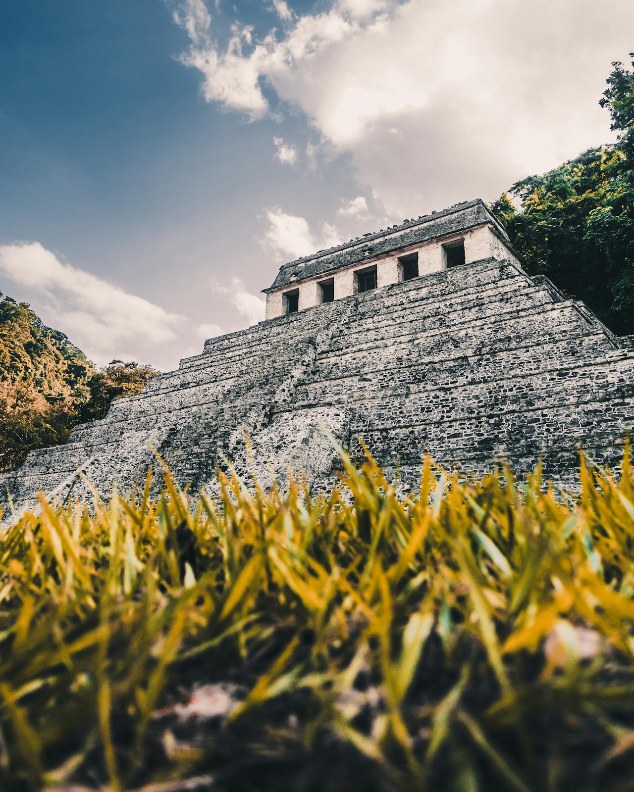 Palenque, tour tren maya