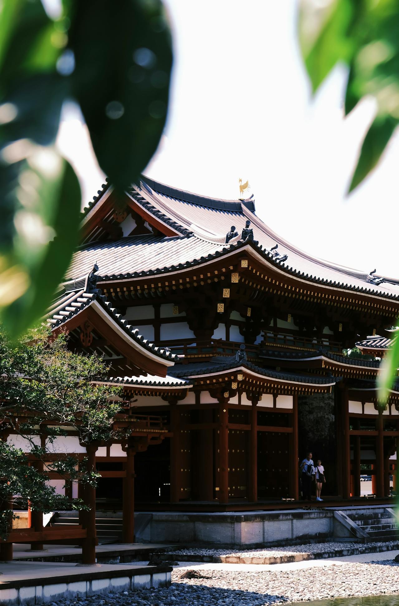 Tokio: Santuario Meiji, Palacio Imperial